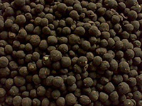 有機(jī)肥含量一樣，效果一樣嗎